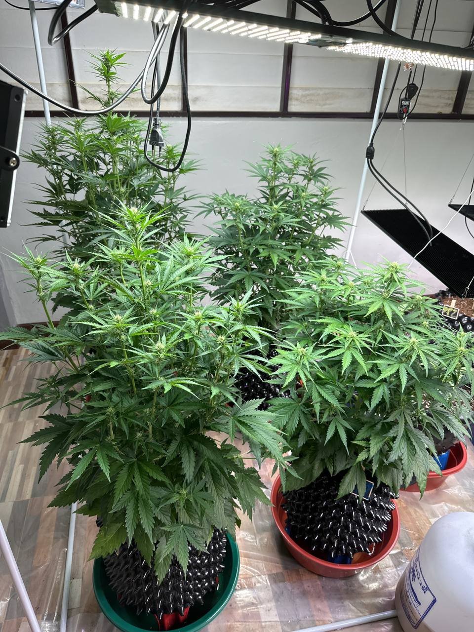 photo_2023-01-08_14-08-35.jpg photo_2023-01-08_14-08-35.jpg