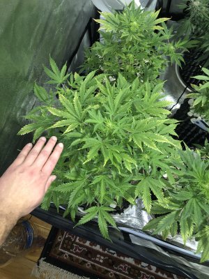 IMG_7562.JPG IMG_7562.JPG