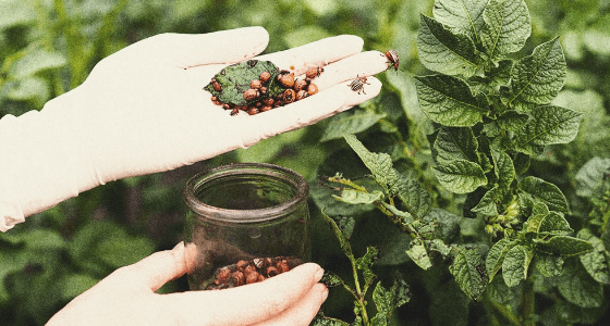 1673176676027.png 1673176676027.png