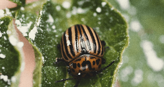 1673176713726.png 1673176713726.png