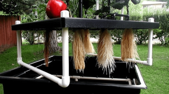 1629994759465.png 1629994759465.png