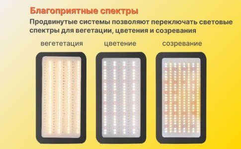 Благоприятные спектры света для конопли