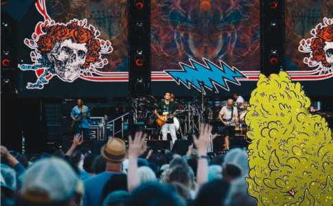 конопля Diesel