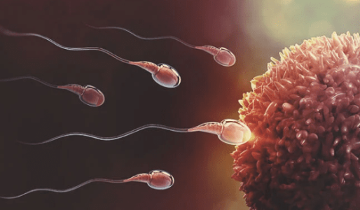 1631875291646.png 1631875291646.png