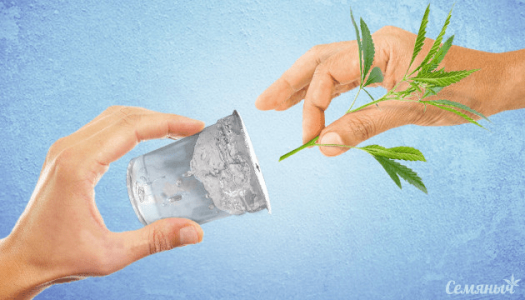 1632825464098.png 1632825464098.png