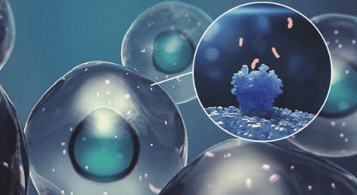 1673891302083.png 1673891302083.png