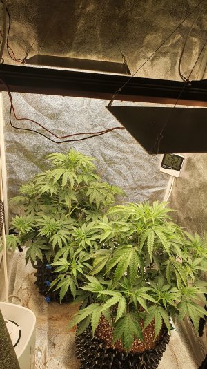 20221010_073613.jpg 20221010_073613.jpg