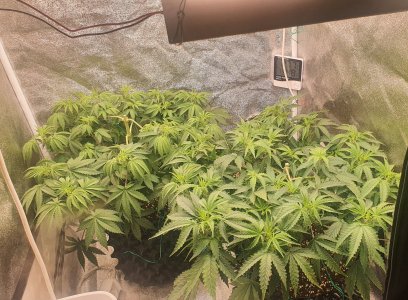 20221013_204308.jpg 20221013_204308.jpg