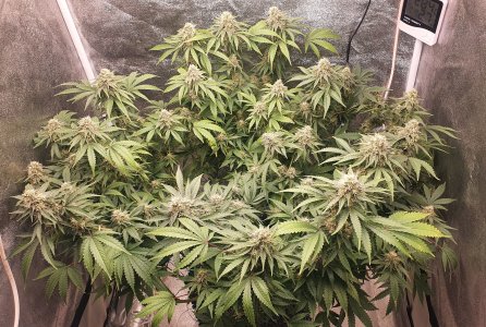 20221129_214008.jpg 20221129_214008.jpg