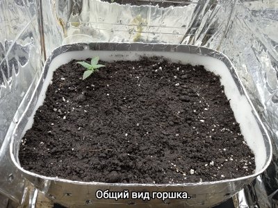 IMG_20230125_124813.jpg IMG_20230125_124813.jpg