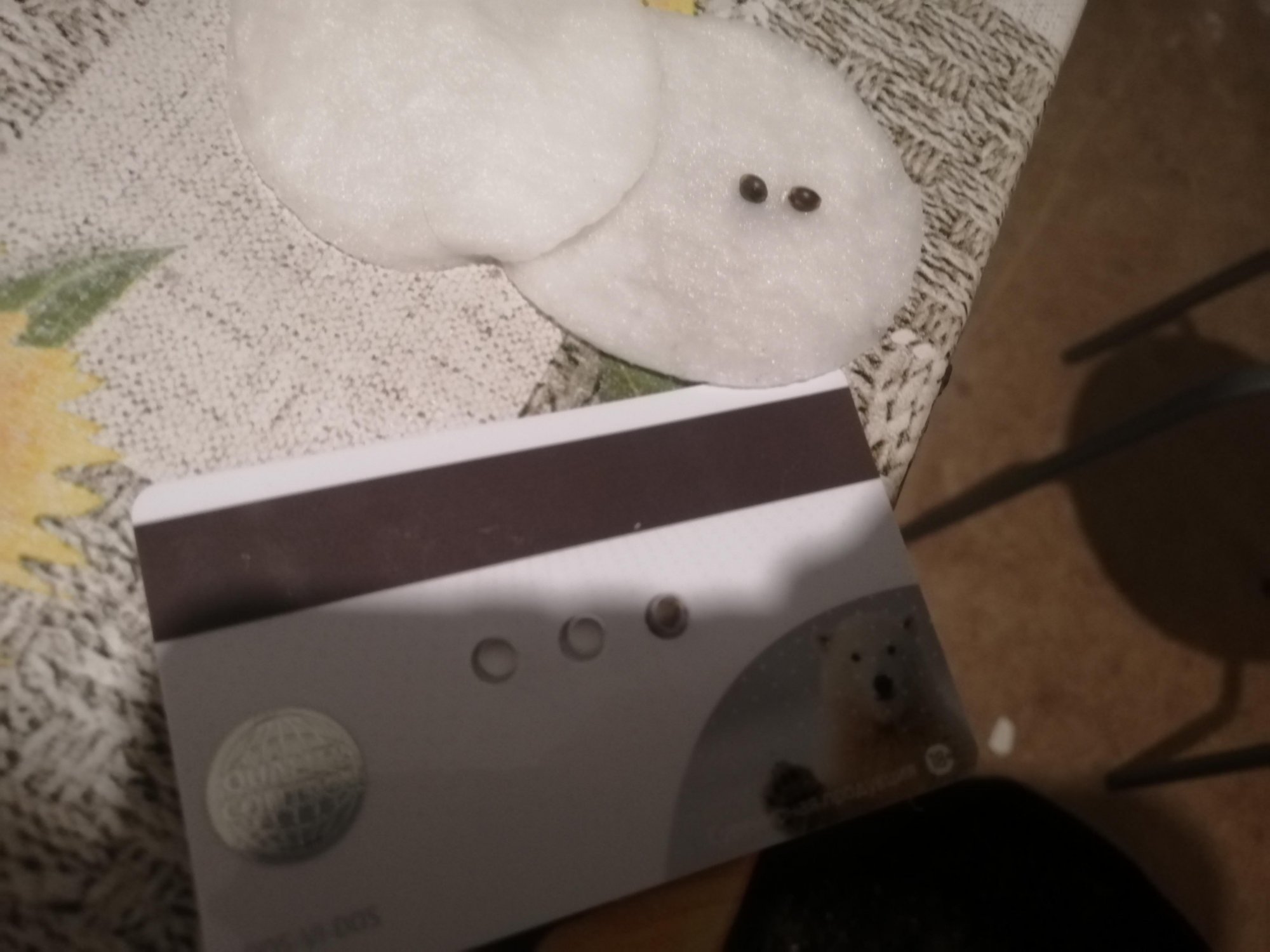 IMG_20230119_213048.cleaned.jpg IMG_20230119_213048.cleaned.jpg