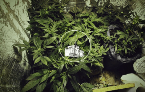 1675356550899.png 1675356550899.png