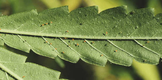 1675356950608.png 1675356950608.png