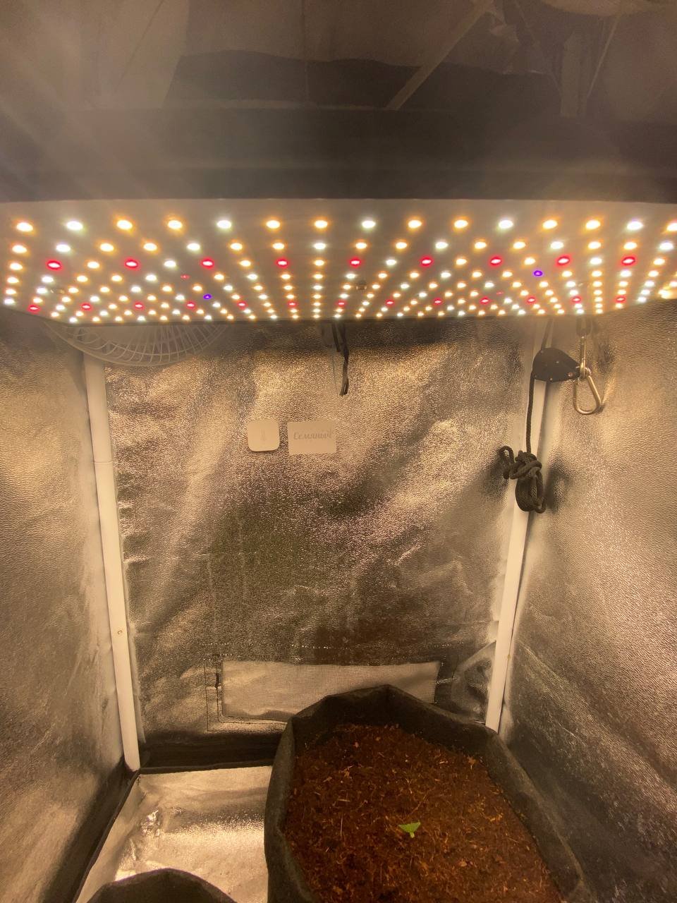 photo_2023-02-03_14-14-44.jpg photo_2023-02-03_14-14-44.jpg