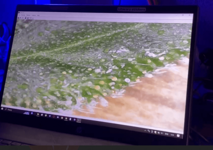 ВОЬВЬ.png ВОЬВЬ.png