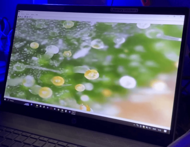 ЫКЕТЫКЕТ.png ЫКЕТЫКЕТ.png