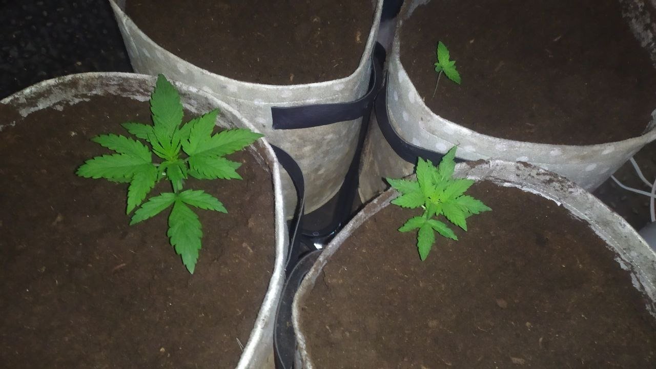 photo_2023-02-05_16-42-42.jpg photo_2023-02-05_16-42-42.jpg