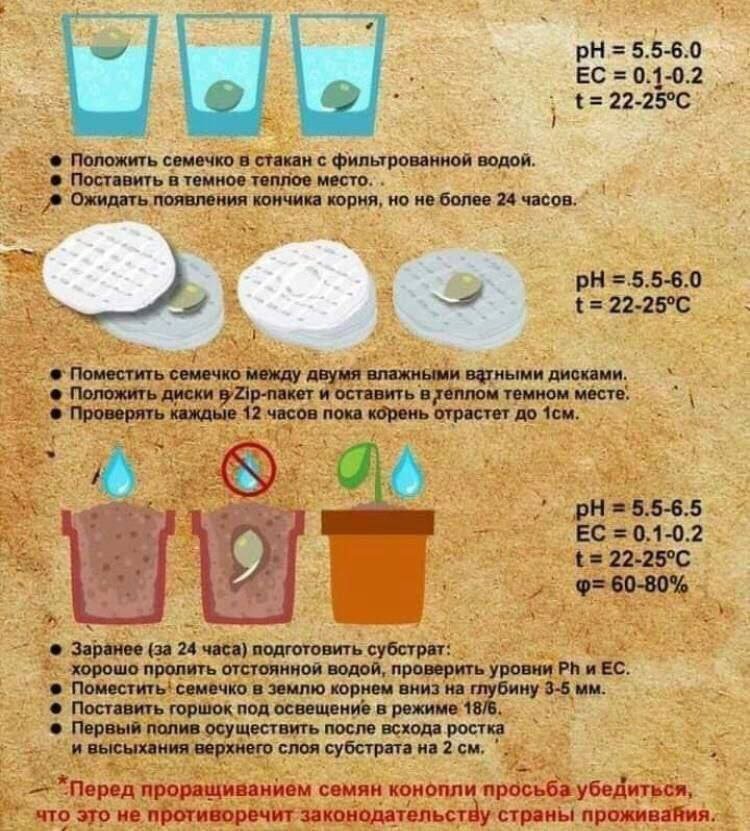 IMG_20230206_124517_500.jpg IMG_20230206_124517_500.jpg