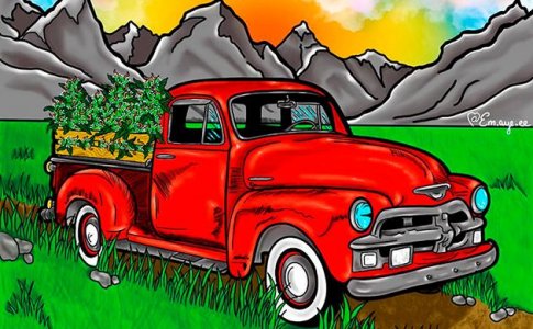 Маскировка транспорта Маскировка транспорта