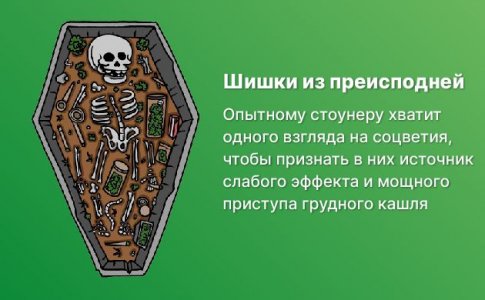 Визуальный осмотр Визуальный осмотр