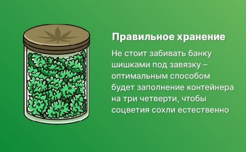 Правильный контейнер Правильный контейнер