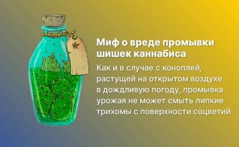 Какая еще промывка шишек?!