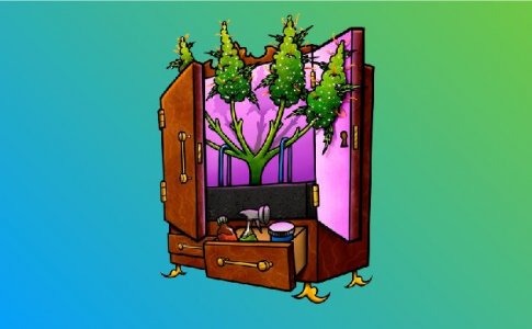 5-Indornyj grov-100.jpg 5-Indornyj grov-100.jpg