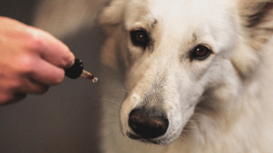 1675801083333.png 1675801083333.png