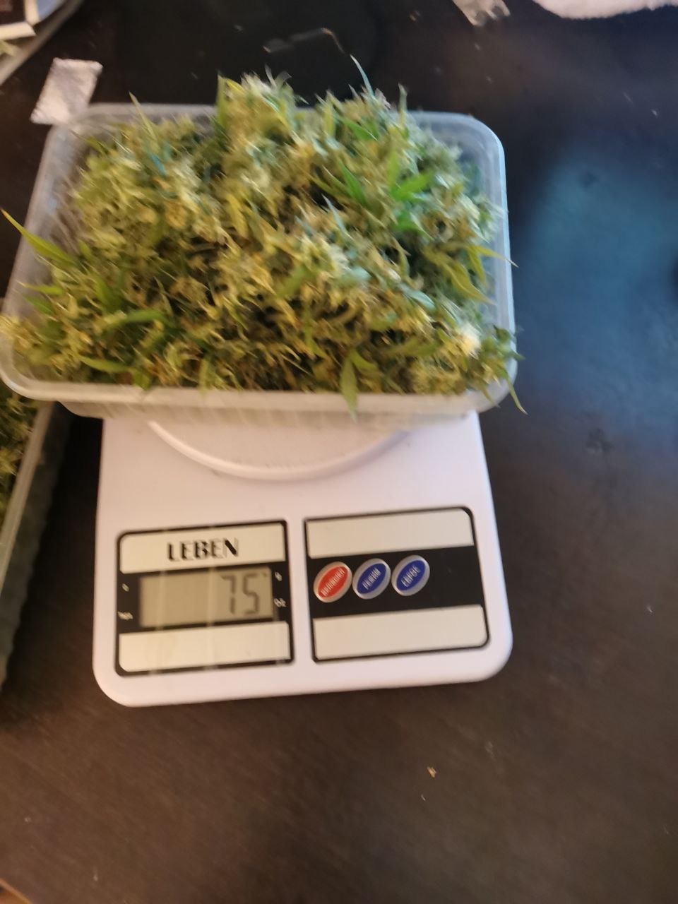 82 — копия.jpg