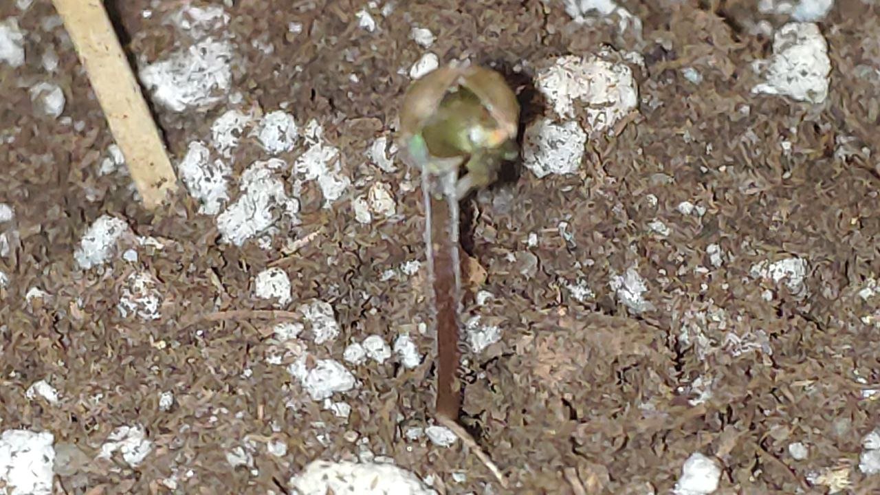 1 photo_2023-02-17_11-28-56.jpg 1 photo_2023-02-17_11-28-56.jpg