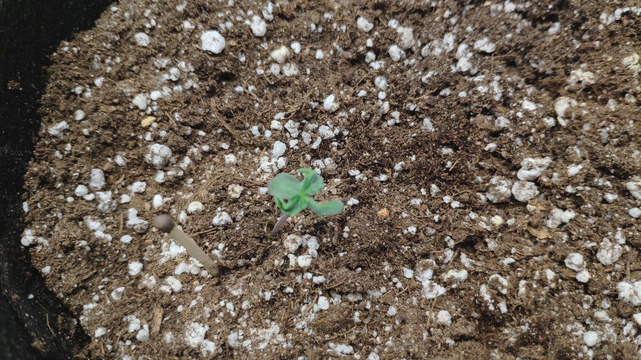 2 photo_2023-02-17_15-26-53.jpg 2 photo_2023-02-17_15-26-53.jpg