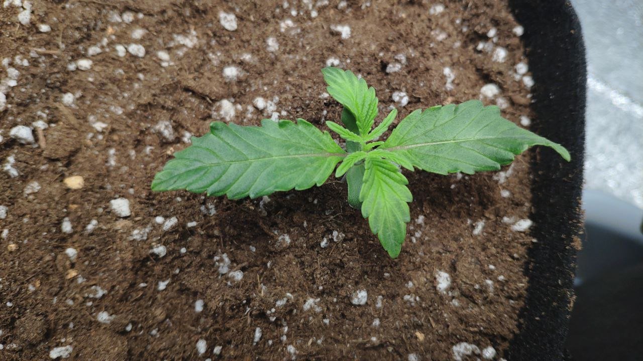 9 photo_2023-02-17_16-06-36.jpg 9 photo_2023-02-17_16-06-36.jpg