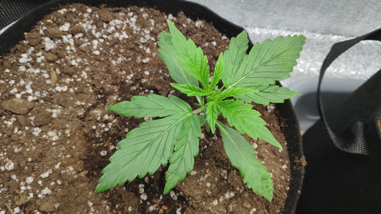 14 photo_2023-02-17_16-08-09.jpg 14 photo_2023-02-17_16-08-09.jpg