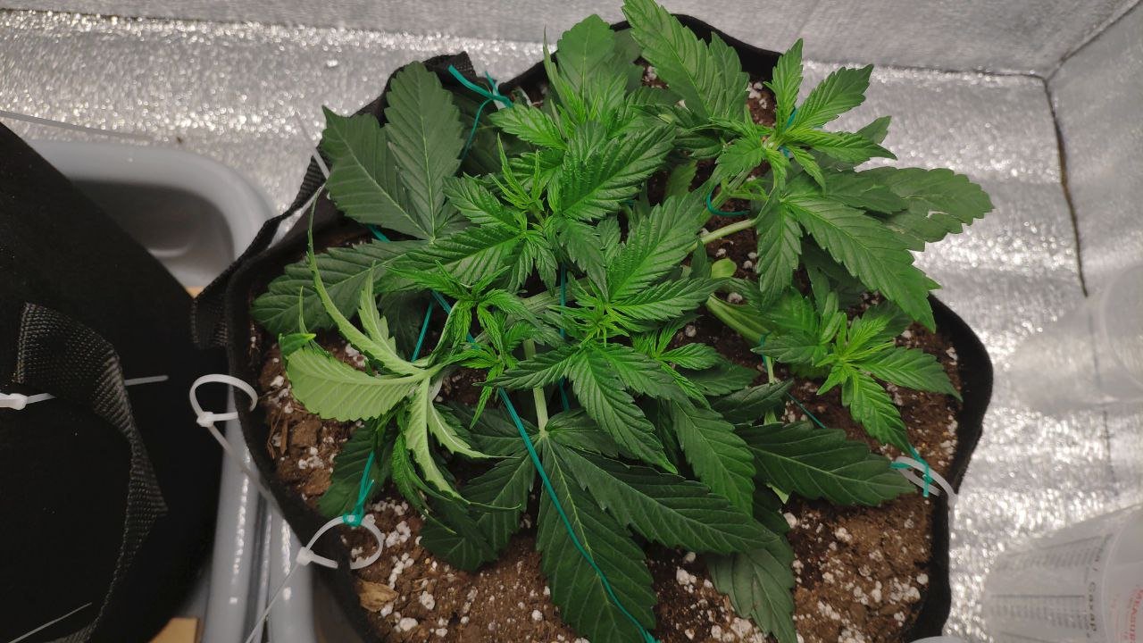 23 photo_2023-02-17_16-54-56.jpg 23 photo_2023-02-17_16-54-56.jpg