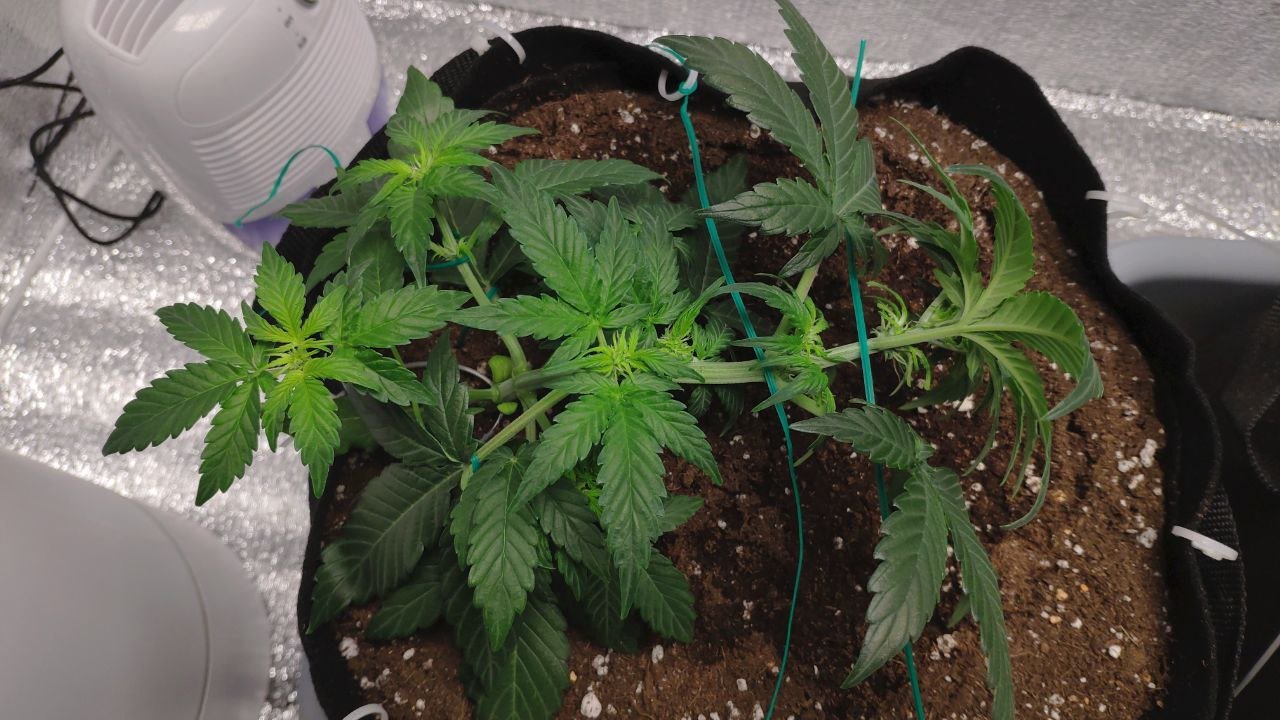 23 photo_2023-02-17_16-55-06.jpg 23 photo_2023-02-17_16-55-06.jpg