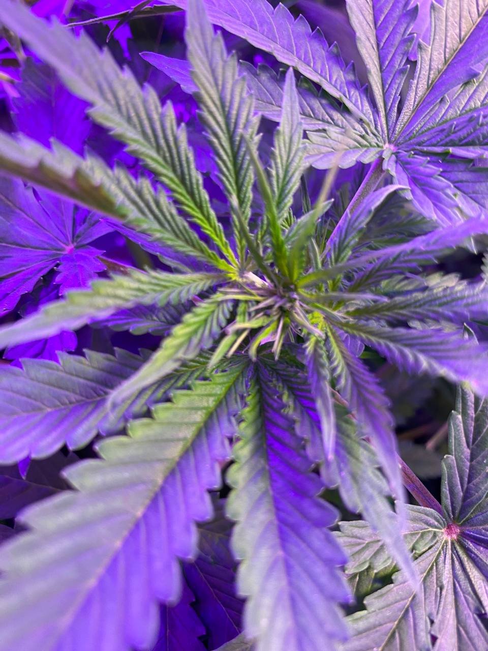 photo1676739698 (3).jpeg photo1676739698 (3).jpeg