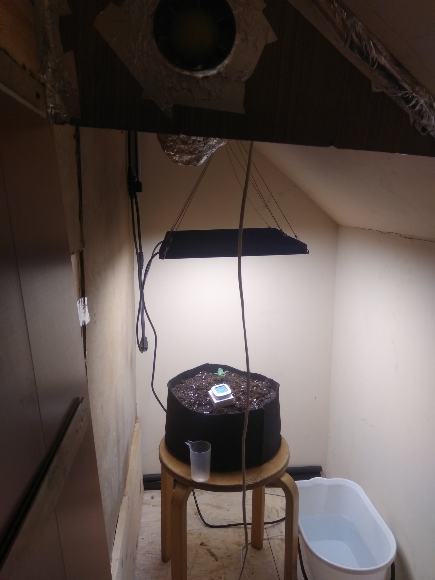 IMG_20230220_061503.jpg IMG_20230220_061503.jpg