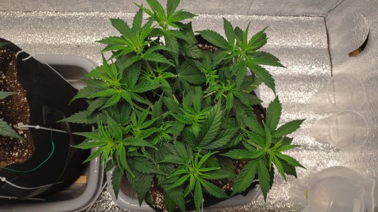 IMG_20230222_201026.jpg IMG_20230222_201026.jpg