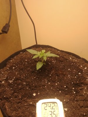 день 10 1.jpg день 10 1.jpg