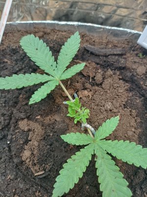 IMG_20230227_090146.jpg IMG_20230227_090146.jpg