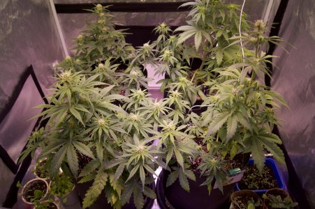 DSC04472.jpeg DSC04472.jpeg