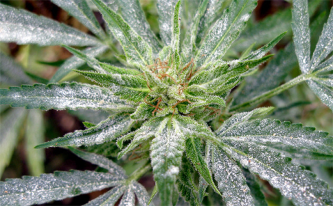 1678464737983.png 1678464737983.png