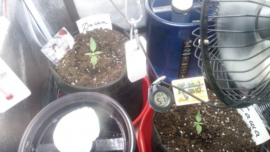 11.03.23 (1).jpg 11.03.23 (1).jpg