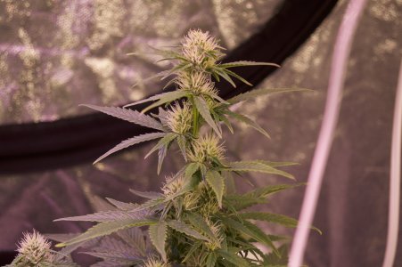 DSC04504.jpeg DSC04504.jpeg