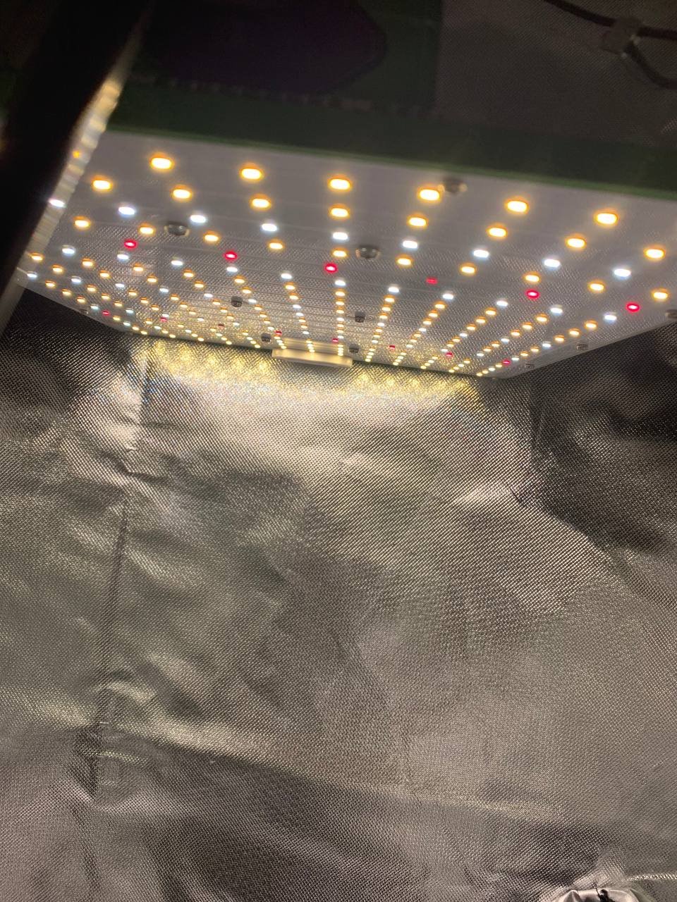 photo_5222446375717947378_y.jpg photo_5222446375717947378_y.jpg