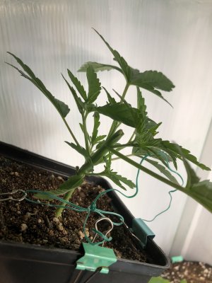 70216111-B9A3-4EF5-826C-CA05146B874C.jpeg 70216111-B9A3-4EF5-826C-CA05146B874C.jpeg