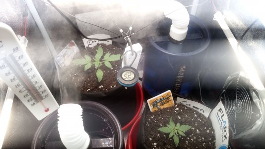 15.03.23 (1).jpg 15.03.23 (1).jpg