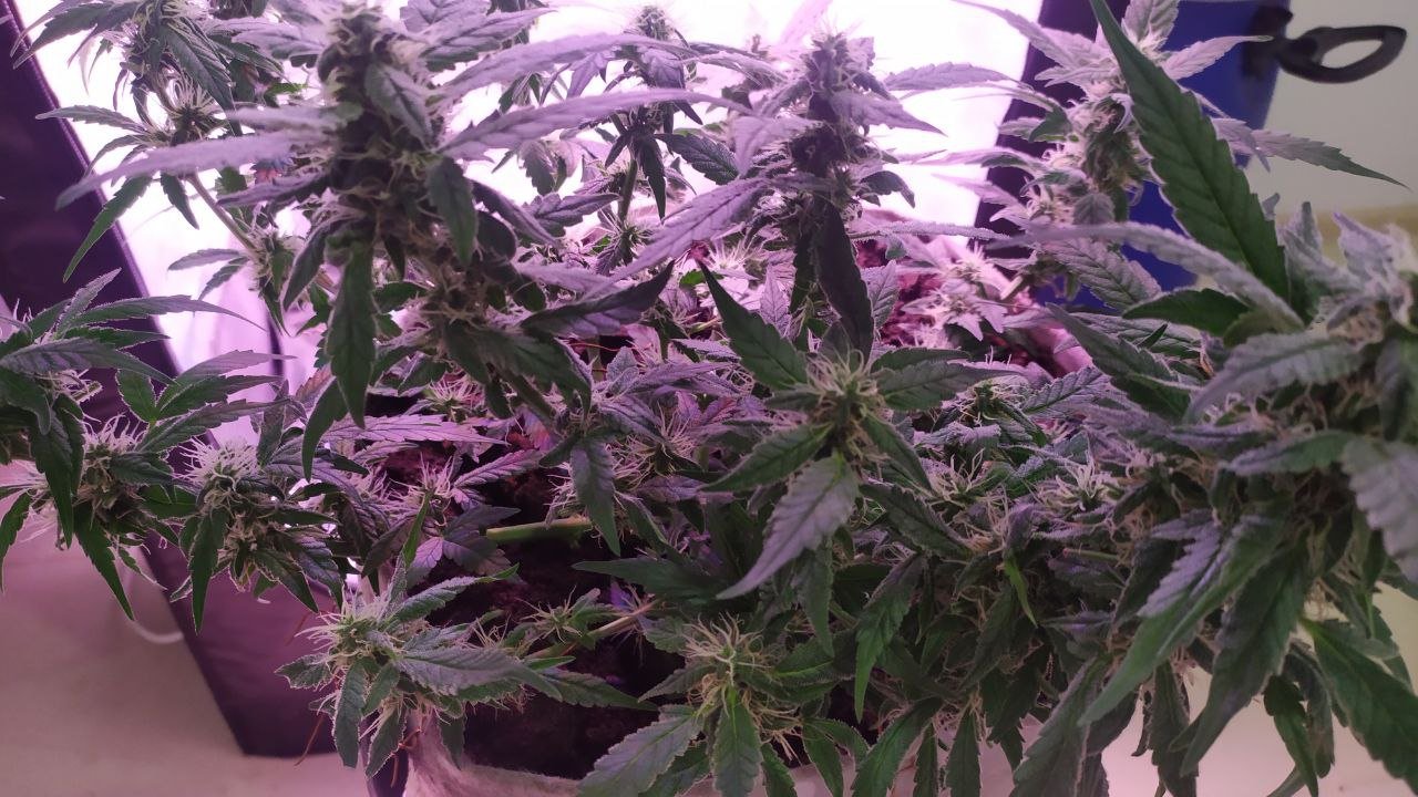 photo_2023-03-17_16-15-23 (3).jpg