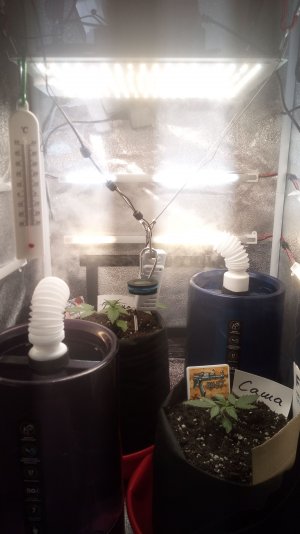 17.03.23 (2).jpg 17.03.23 (2).jpg