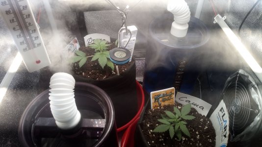 18.03.23 (1).jpg 18.03.23 (1).jpg